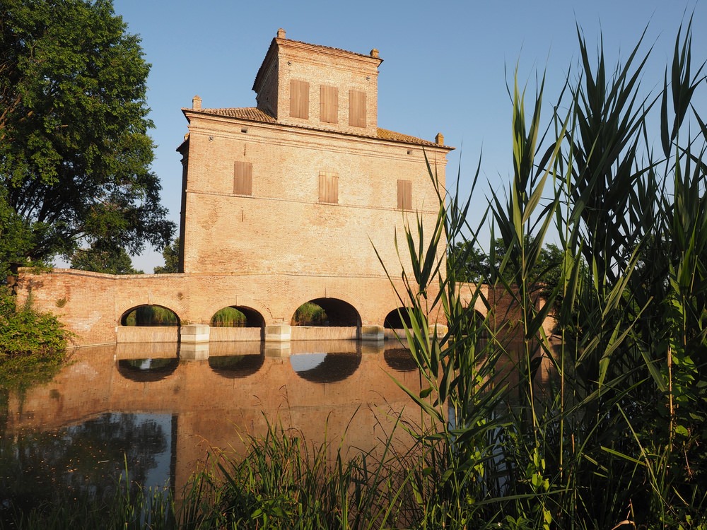 Torre Abate, Mesola