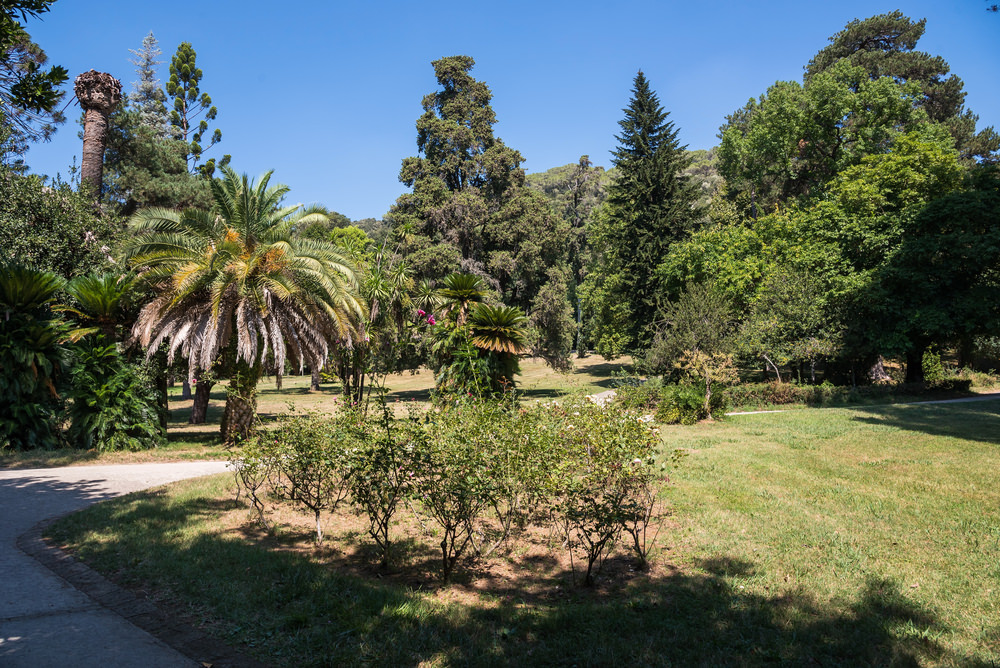 Giardino inglese, Reggia di Caserta