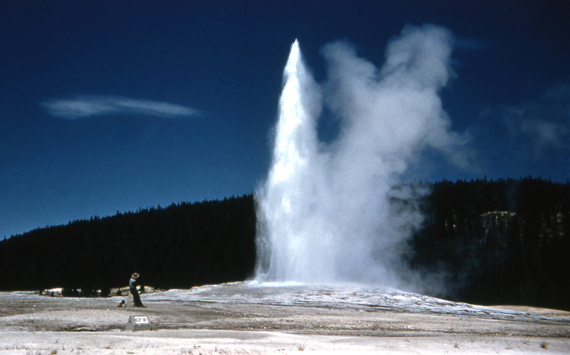 Old Faithful, Yellowstone