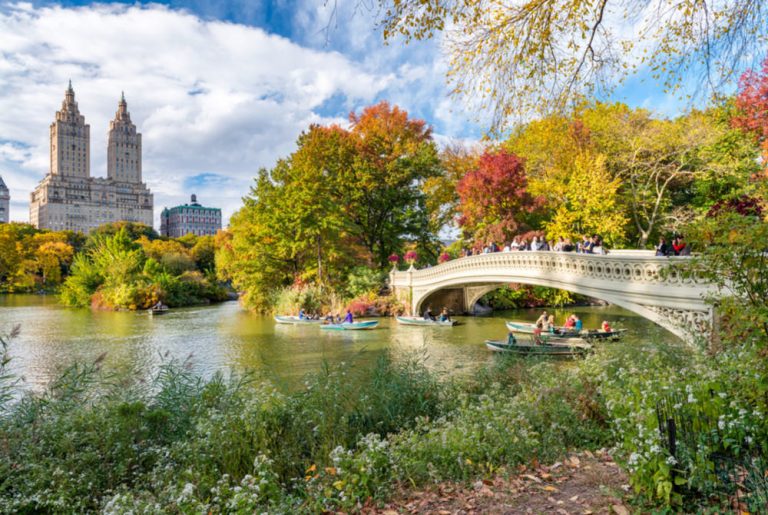 La Metropoli Con Il Celeberrimo Central Park