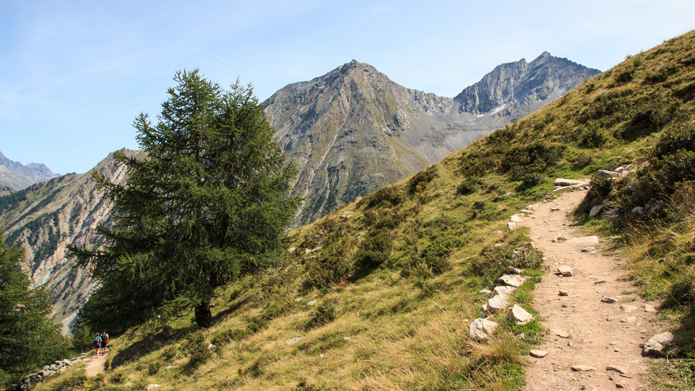 Valnontey, Gran Paradiso