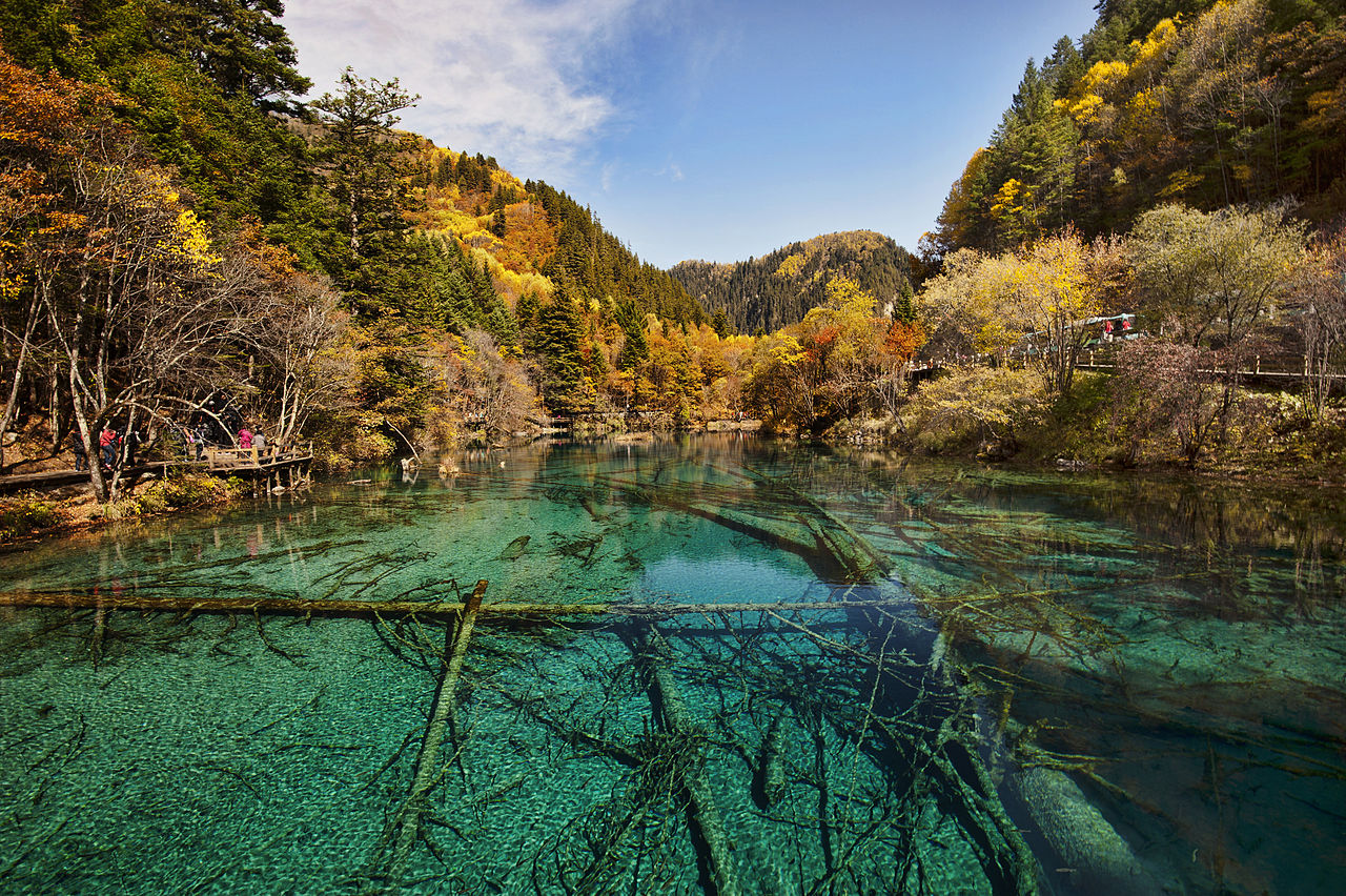 Lago Cinque Fiori, Jiuzhaigou