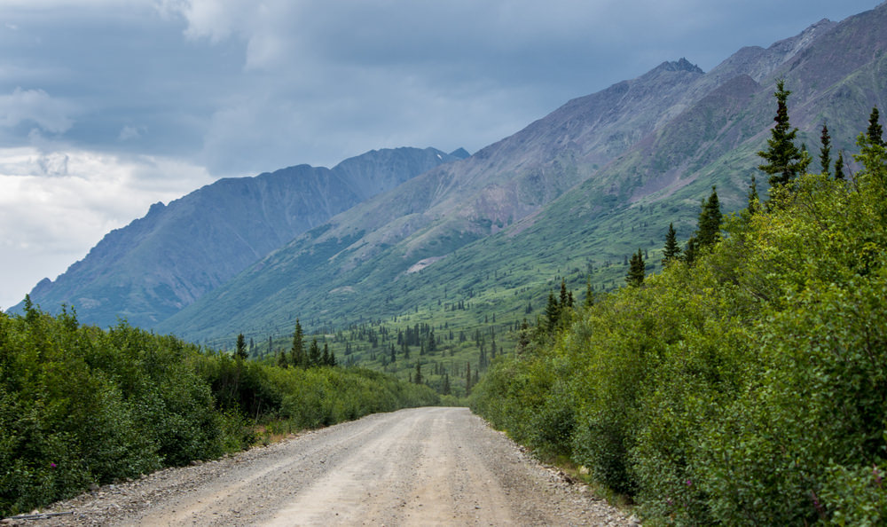 Denali National Park