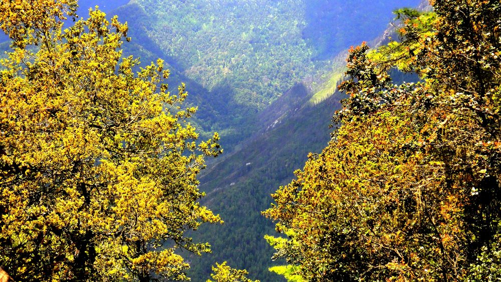 Valle del Paro, Bhutan