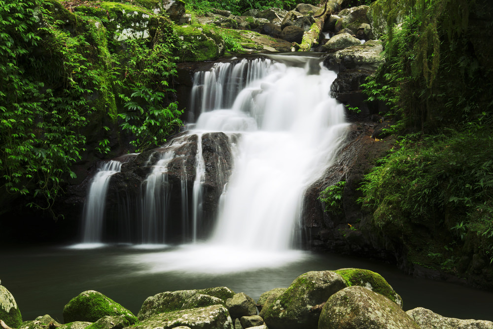 gold coast trekking_266083382
