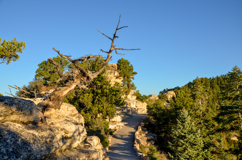 North Angel Point, Grand Canyon