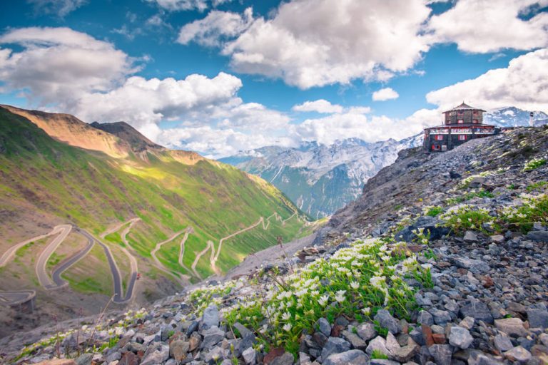 parco-nazionale-dello-stelvio-trekking-sulle-alpi-lombarde