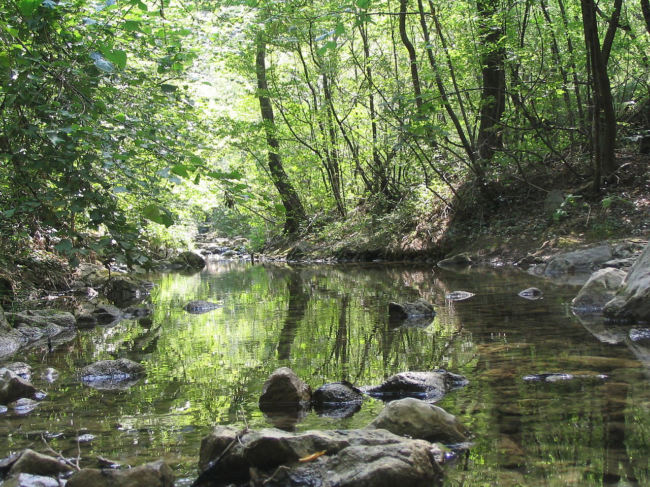 Val Rosandra