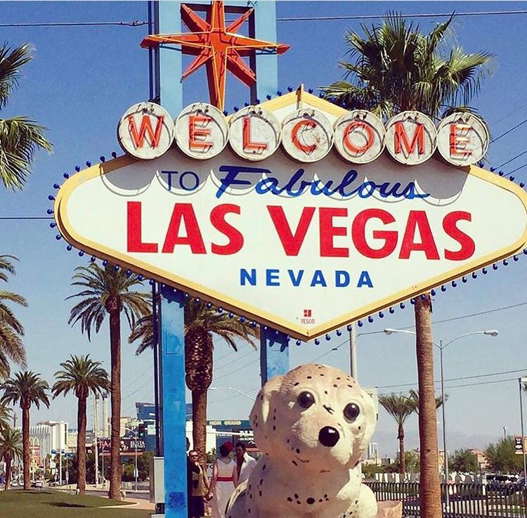 Las Vegas Nevada
