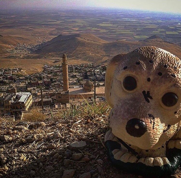 Mardin Turchia