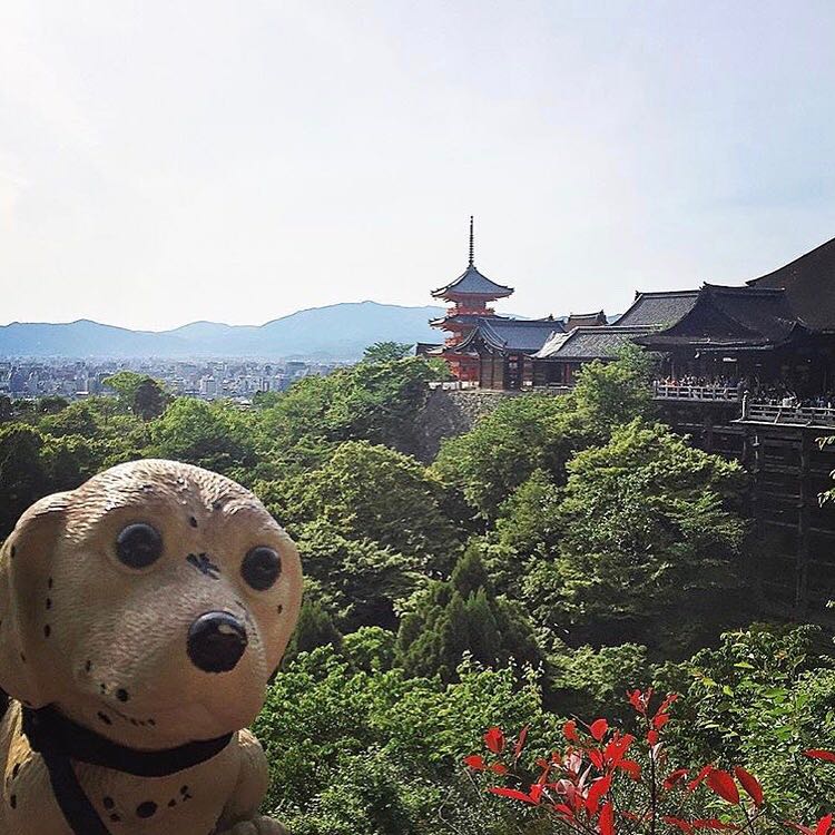 Kiyomizu Temple Kyoto