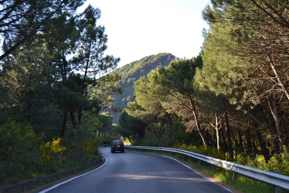 Parco Nazionale del Vesuvio - Natura