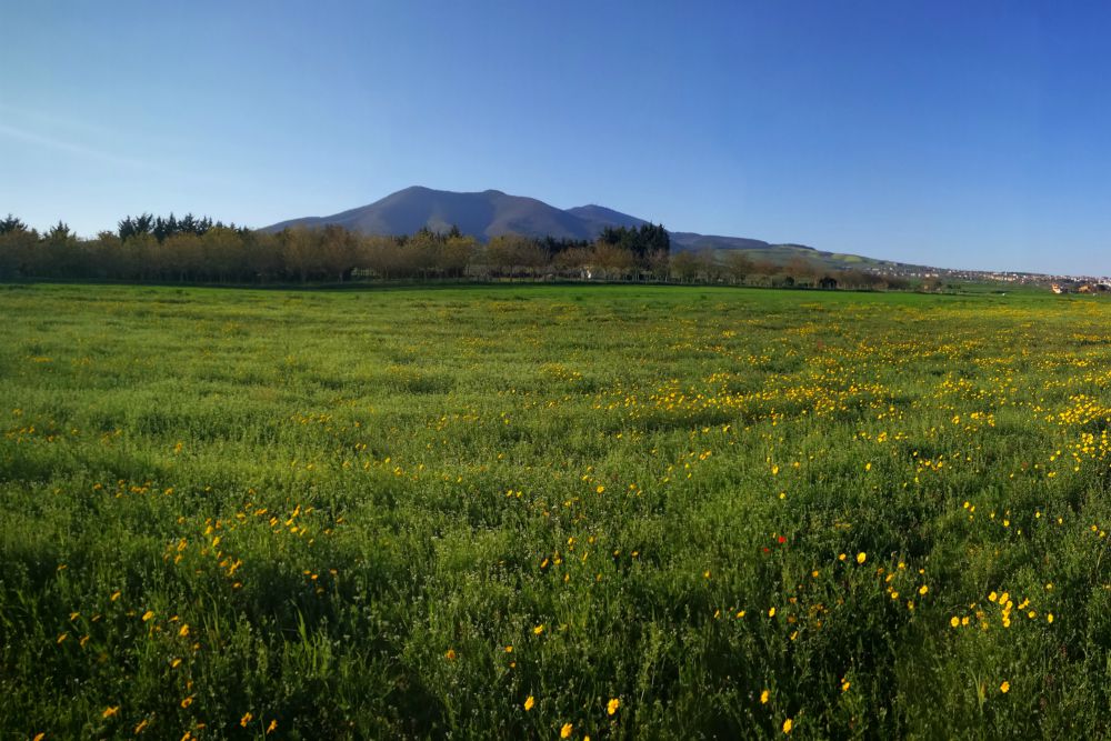 Monte Vulture