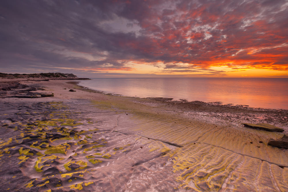 Ningaloo Reef