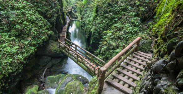 Monte Qingcheng