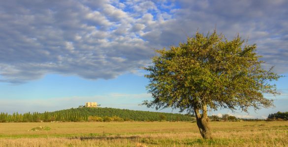 Parco Nazionale dell'Alta Murgia