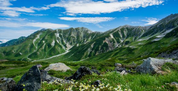 Monte Tate