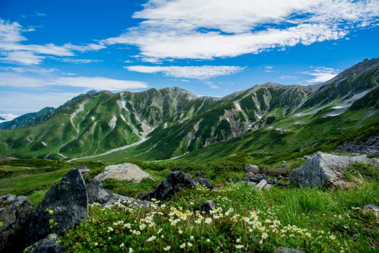 Monte Tate