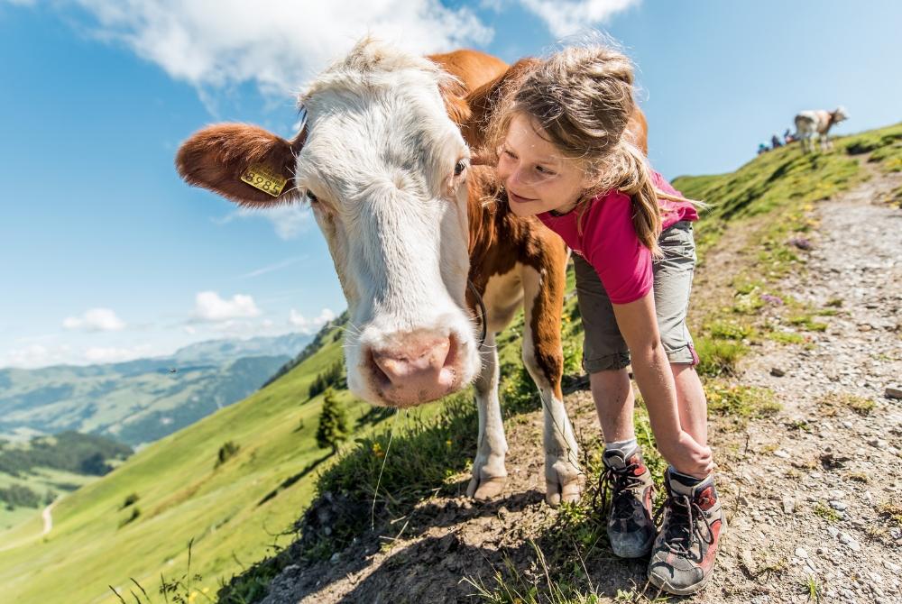 Svizzera escursionismo