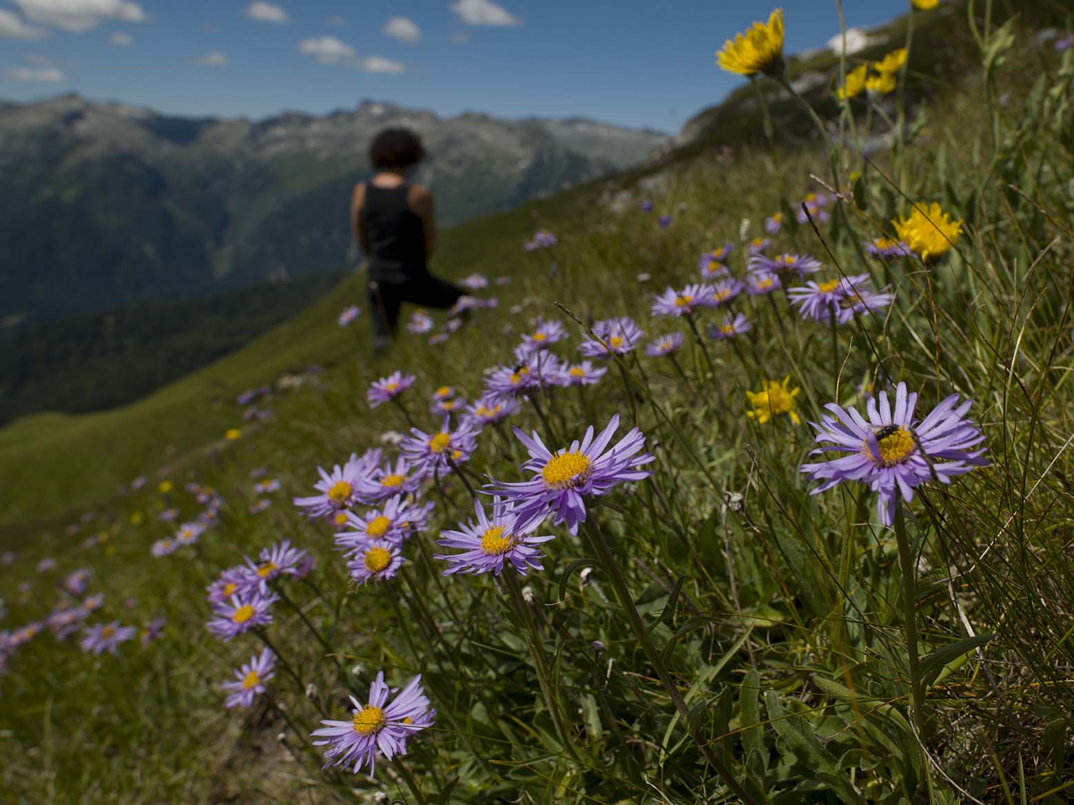 Passo del Frate