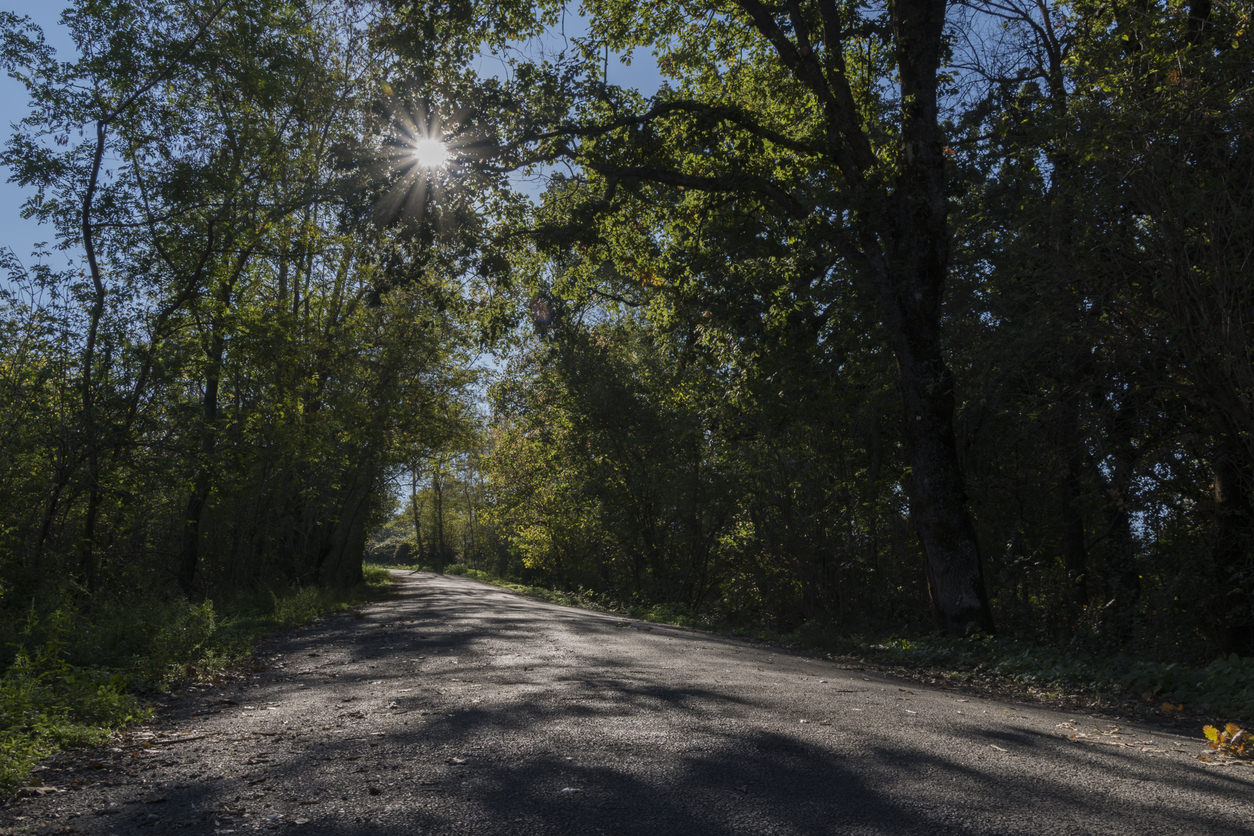 Monte Tuscolo, strada