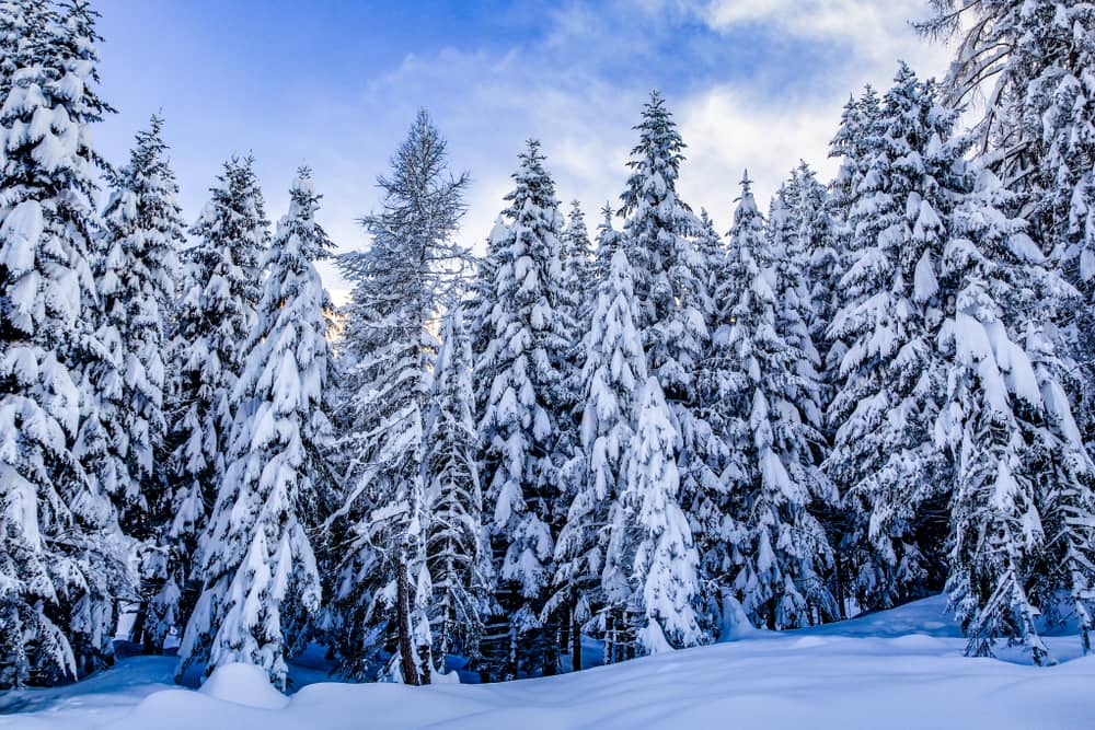 Val Gerola, ciaspolate Lombardia