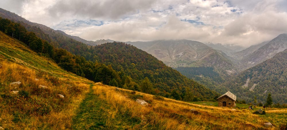 Oasi Zegna, forest bathing Piemonte