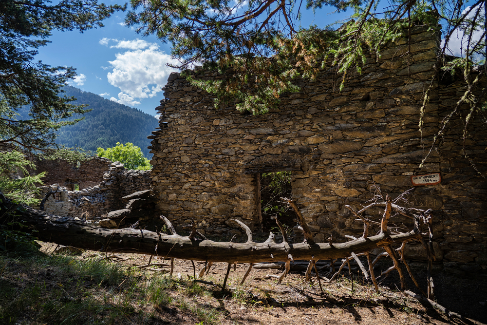 Gran Bosco di Salbertrand, forest bathing 