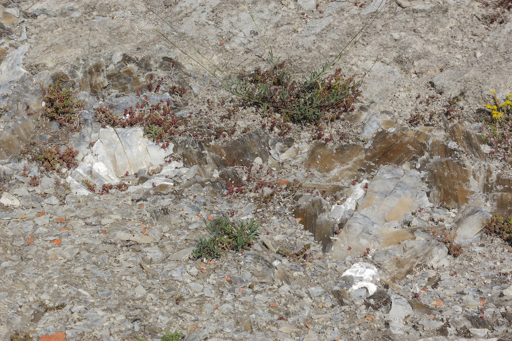 Rocce di gesso, Sentiero dei Cristalli