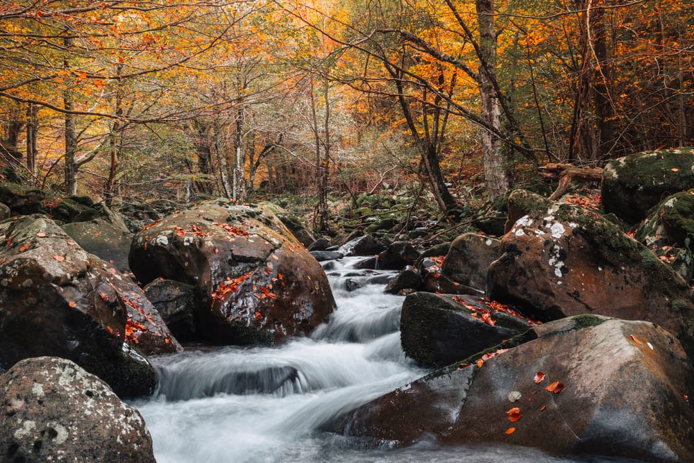 Cascate Dardagna