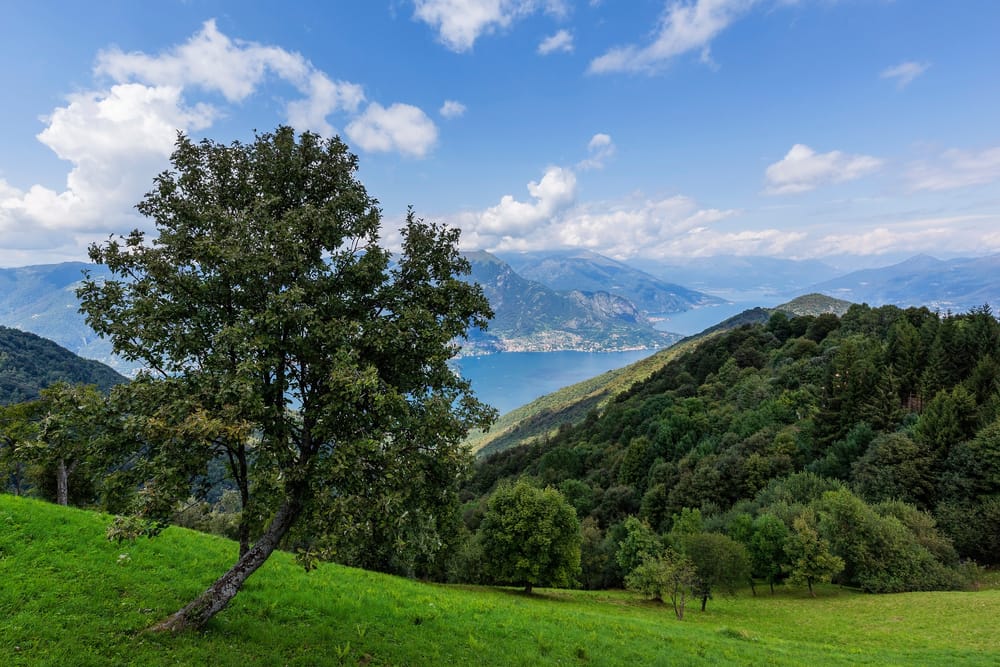 Monte San Primo