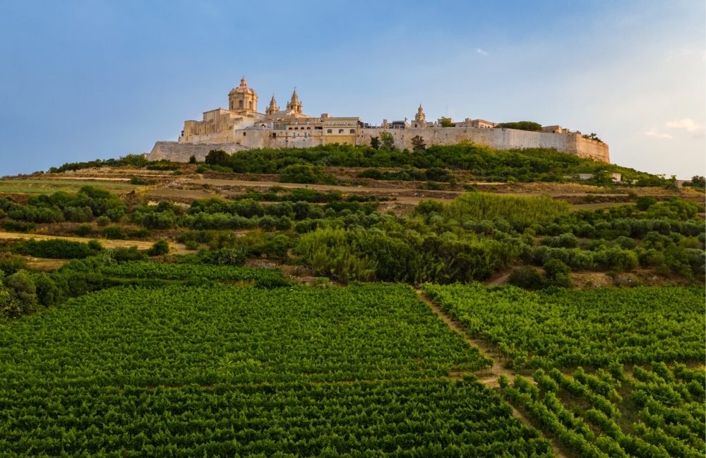 Mdina