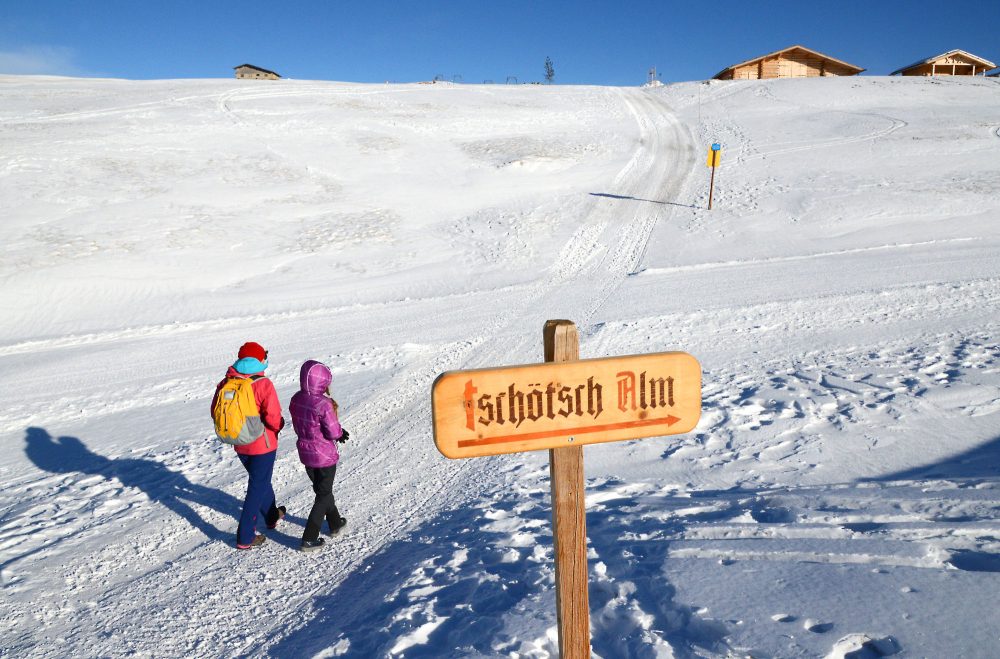 Alpe di Siusi escursioni(102)_b_voglino