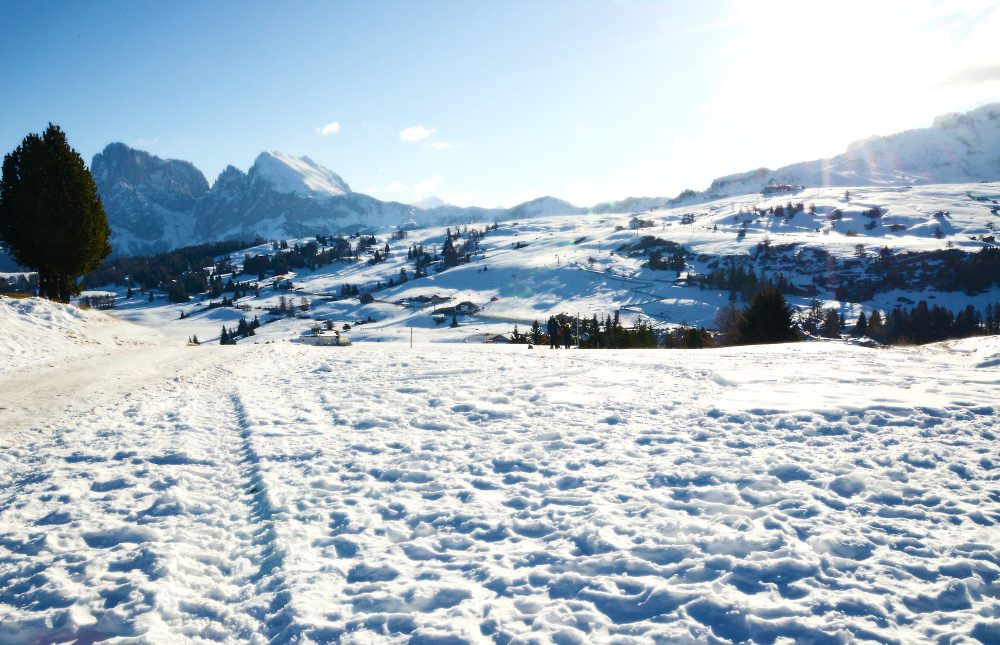 Alpe di Siusi (23)_b_voglino