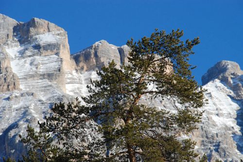 alta badia_voglino