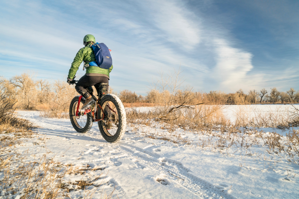 bicicletta in inverno 2_781917064