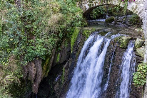 trekking primavera trentino_1176295615