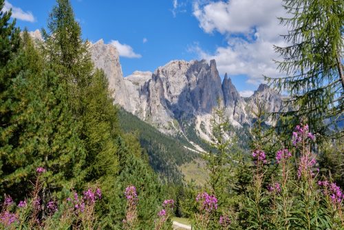 trekking primavera trentino_2224364313