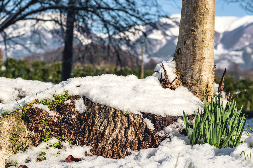 trekking neve lazio_1898599480