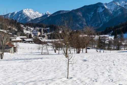 forni di sopra_1331958344