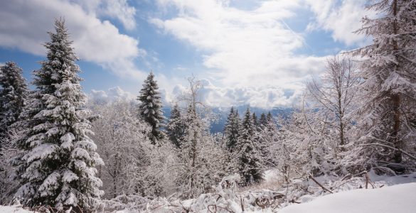 ciaspolare_ad_asiago