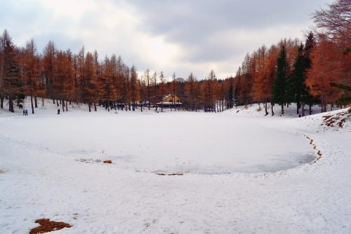 lago della ninfa_2133761363