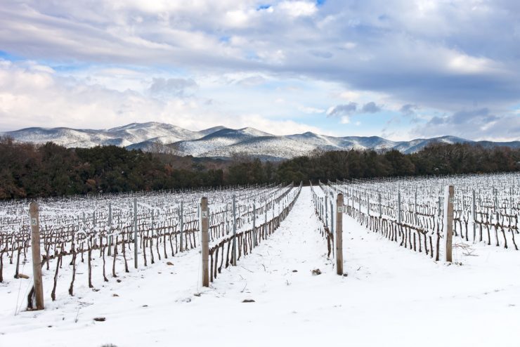 toscana_trekking