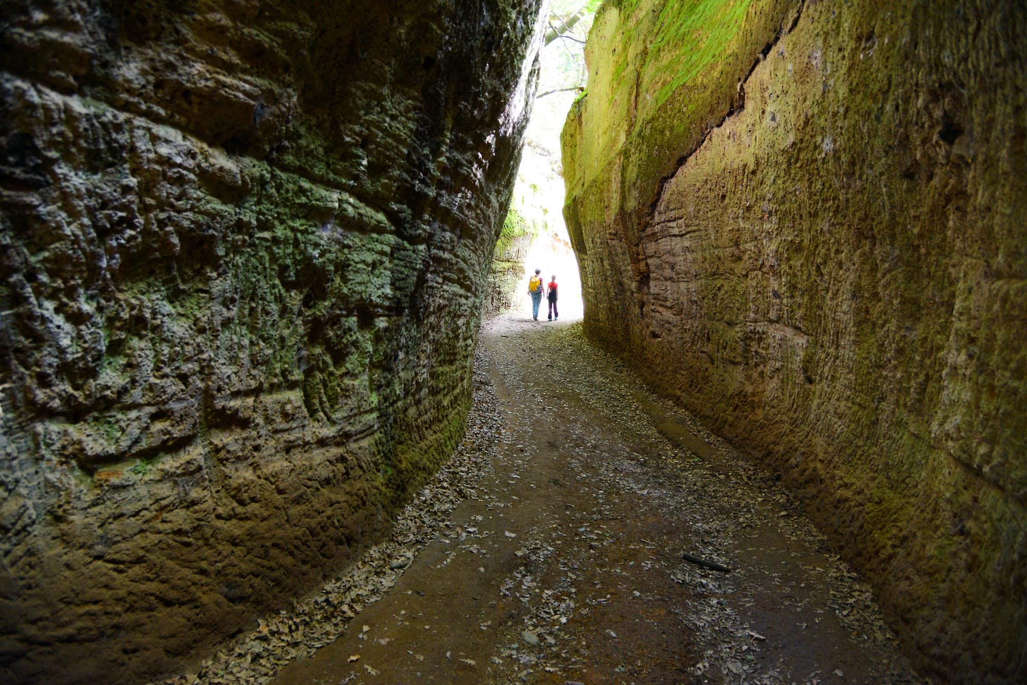Maremma Camminando Tra Le Vie Cave Degli Etruschi GoodTrekking