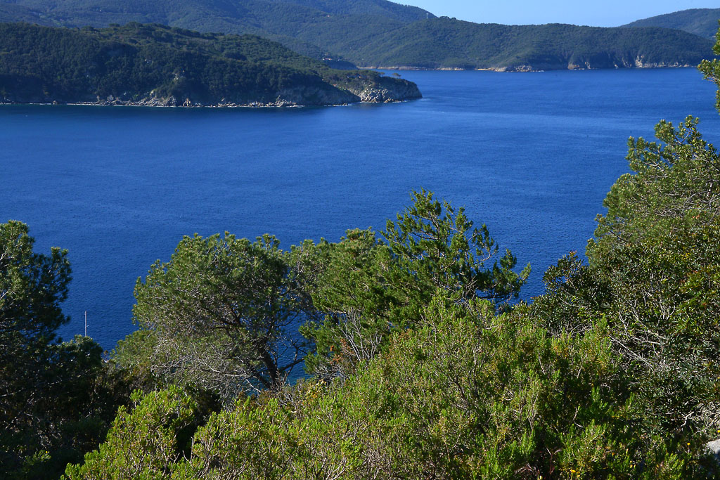 isola_d'elba_la_tonnara