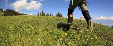 come vestirsi per trekking primavera_435745936