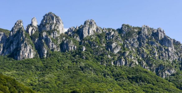 denti_della_vecchia