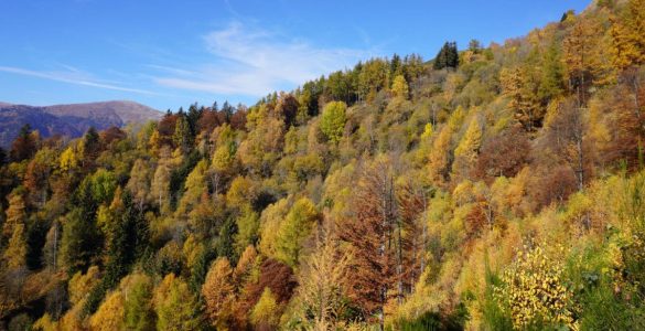 passo_del_san_lucio