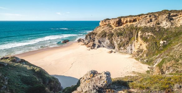 Rota vicentina