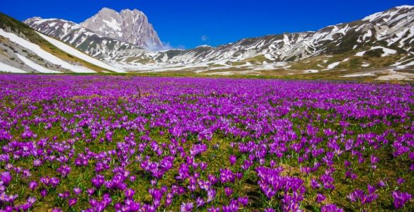corno_grande_del_gran_sasso